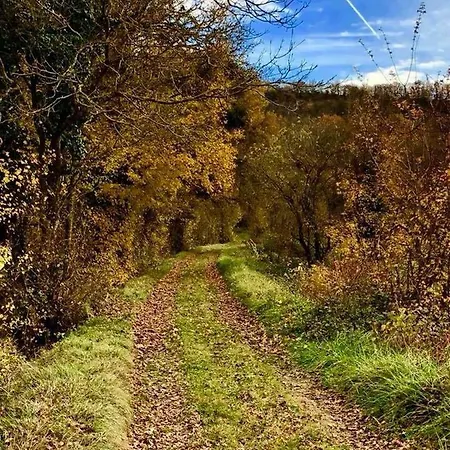 Διαμέρισμα A L'abri Du Loup *