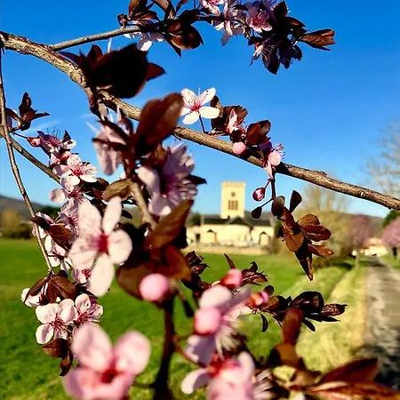 A L'abri Du Loup Διαμέρισμα Roquefort-sur-Garonne