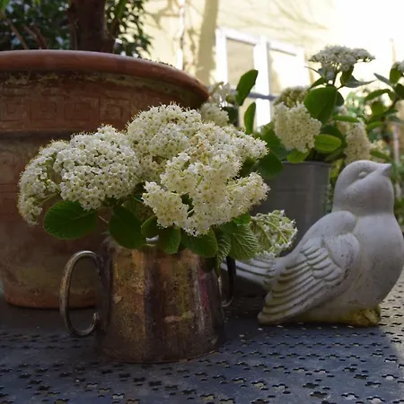 Appartement A L'abri Du Loup *