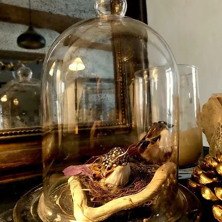 A L'abri Du Loup Appartement *