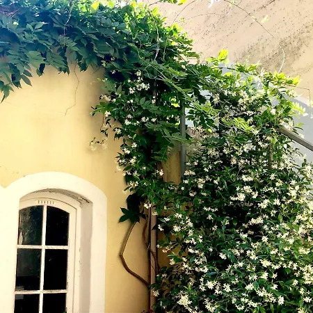 A L'abri Du Loup * Roquefort-sur-Garonne